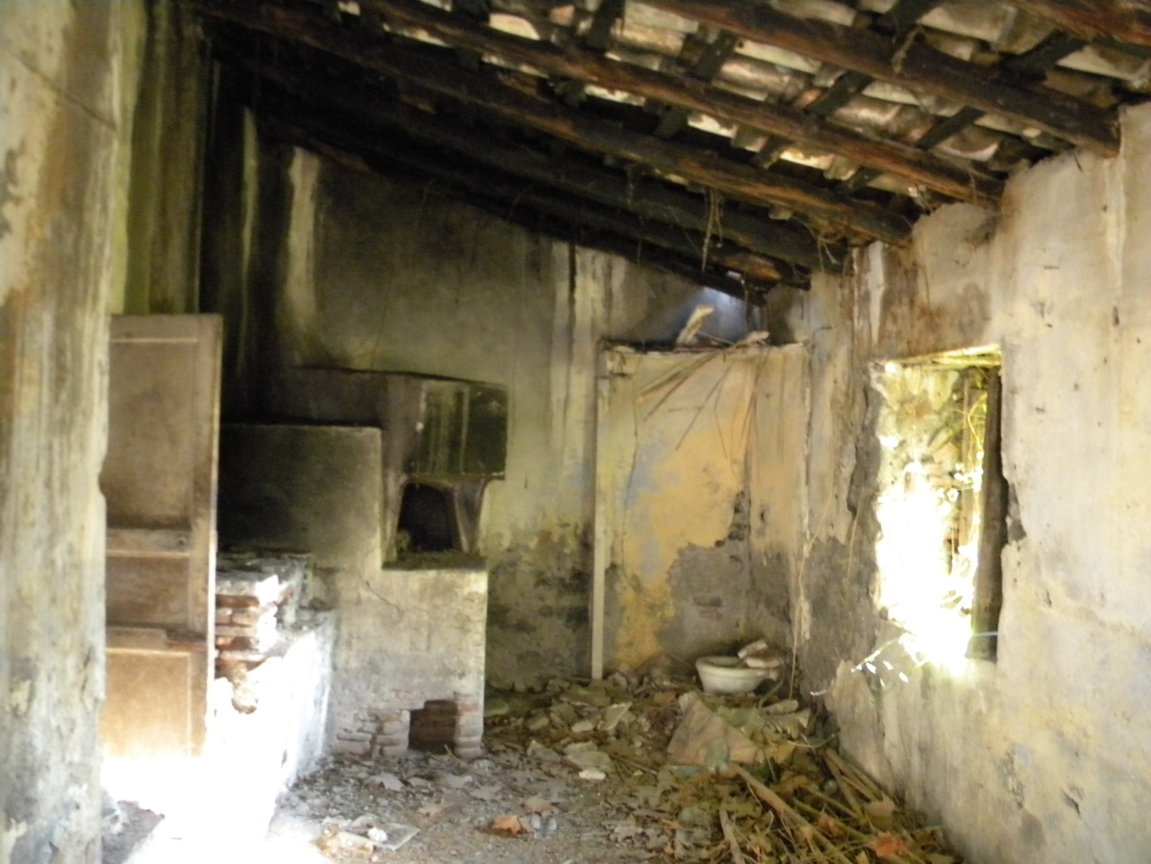 DSCN7995 .JPG